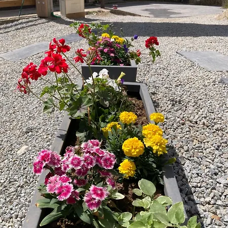 Canellito Le Clos Des Ours Appartamento