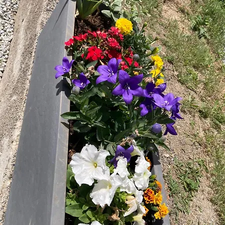 Canellito Le Clos Des Ours Appartamento *